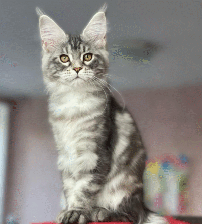 Milo