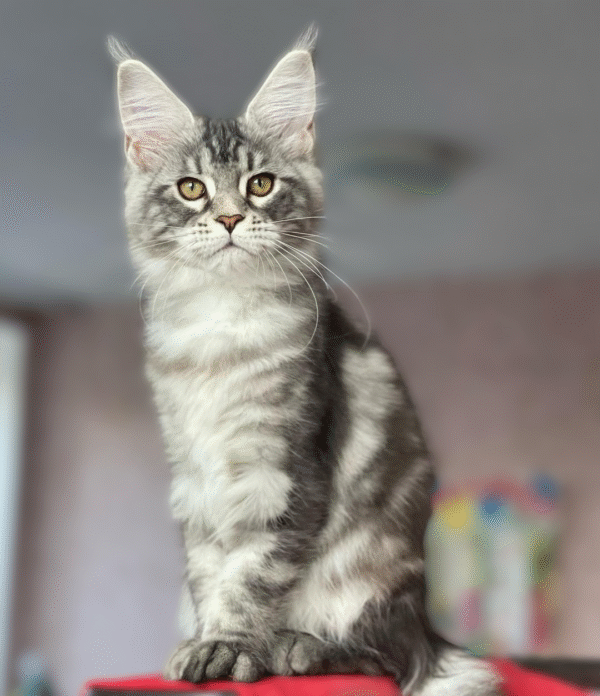 Milo