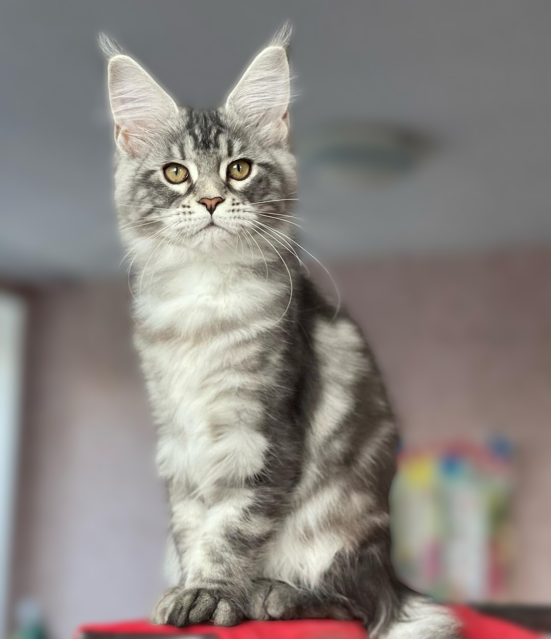 Milo